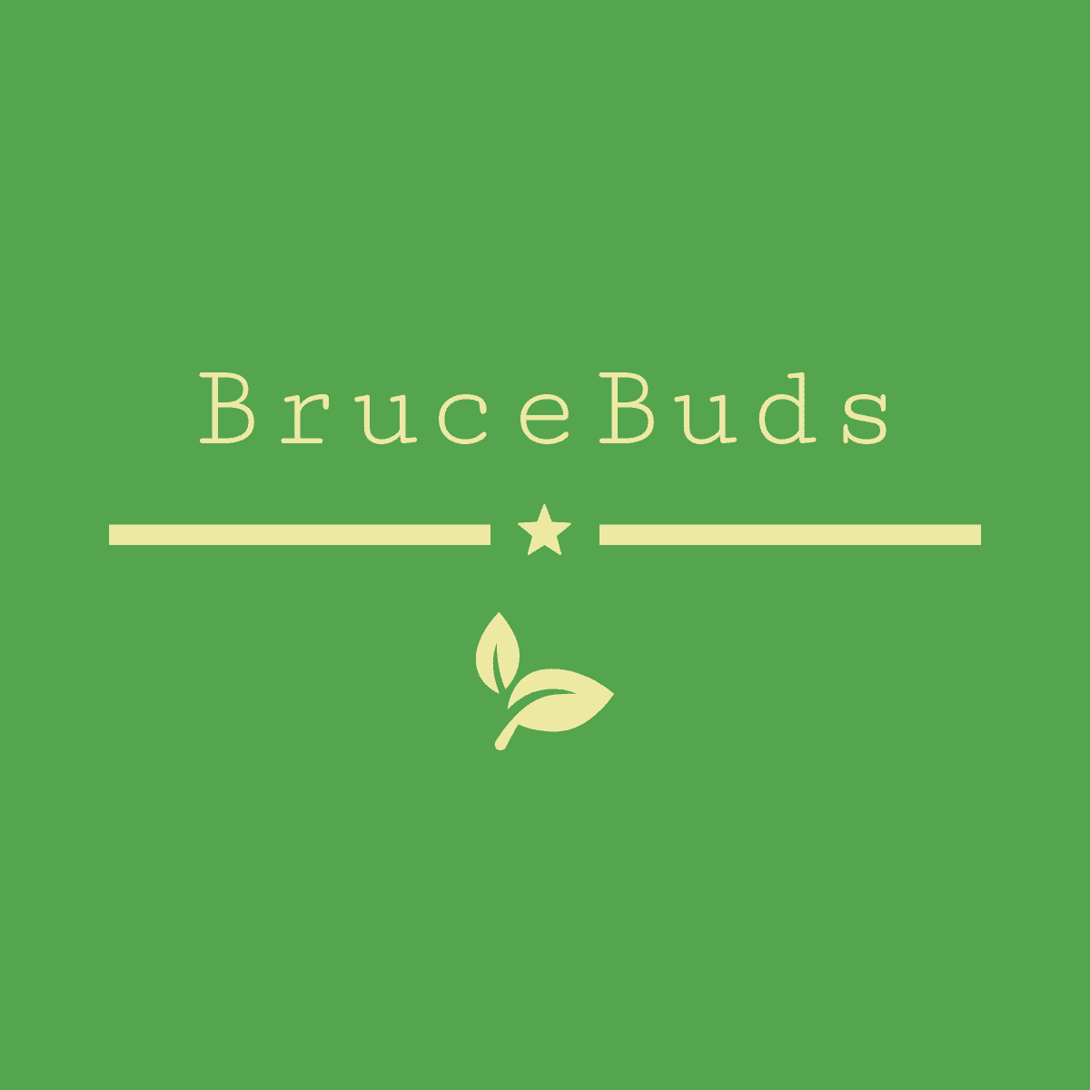 CBD Buds/Bloemen