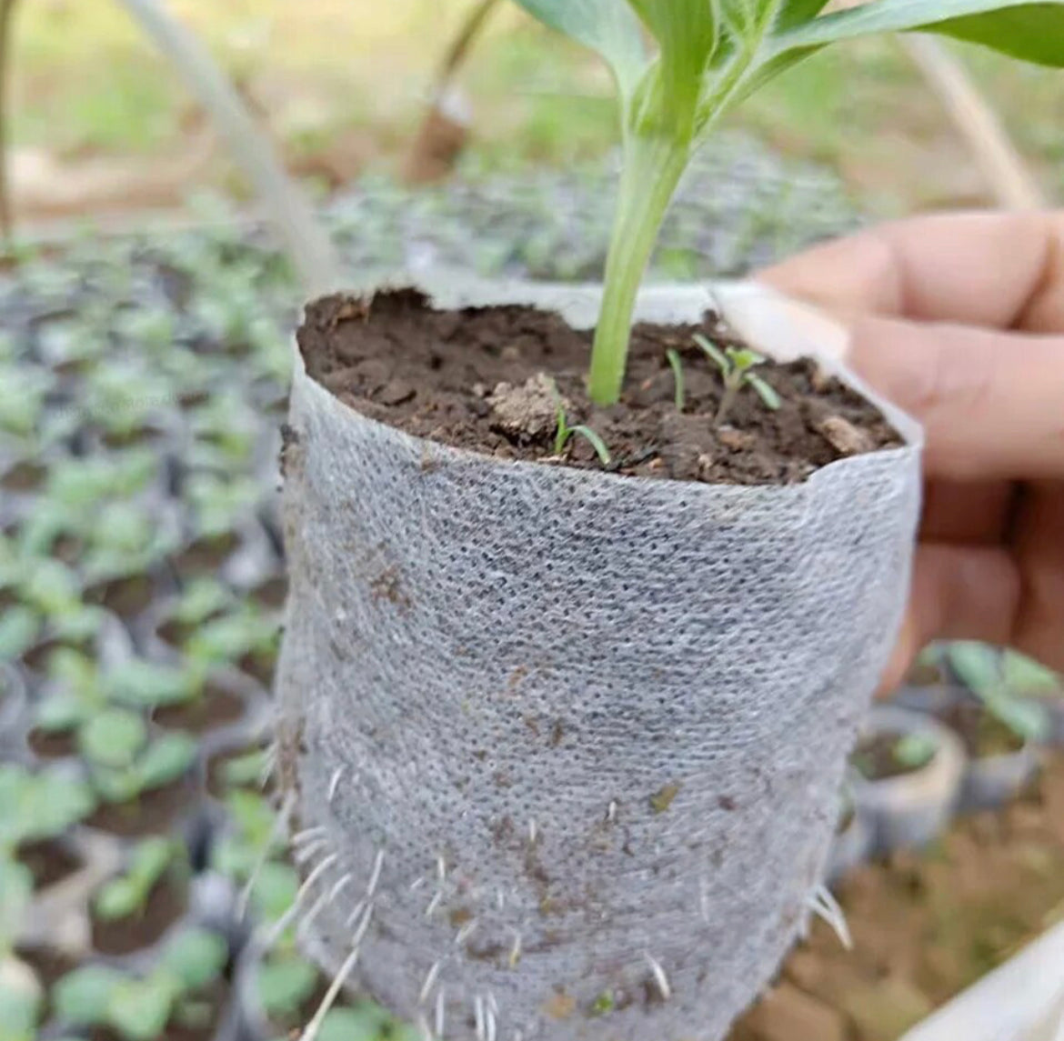 Biologisch Afbreekbare grow bag